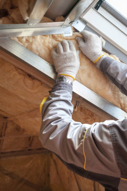 Best Commercial Insulation Contractor  in Bloomingdale, TN
