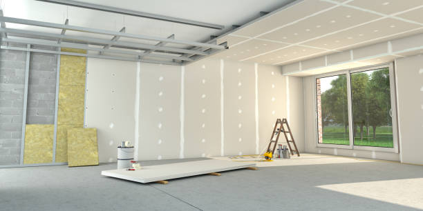 Best Insulation Removal  in Bloomingdale, TN