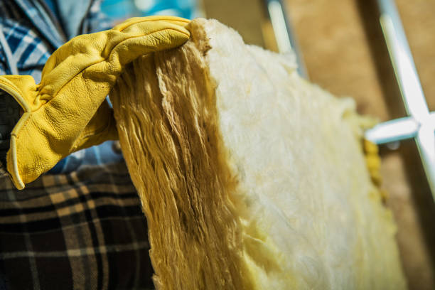 Reliable Bloomingdale, TN Insulation Contractor Solutions