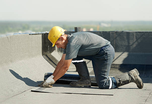 Best Wall Insulation Contractor  in Bloomingdale, TN